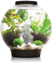 BiOrb Classic 30 LED zwart