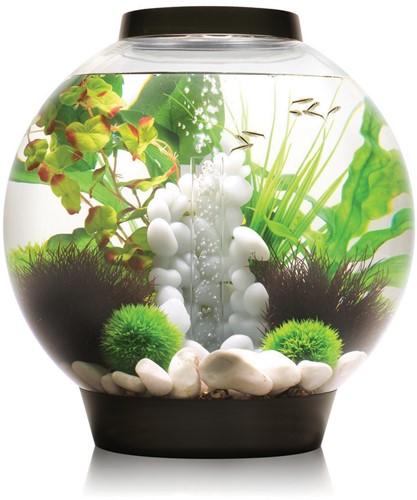 BiOrb Classic 30 LED zwart