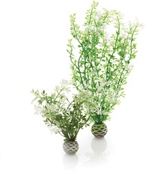 BiOrb winterbloem set