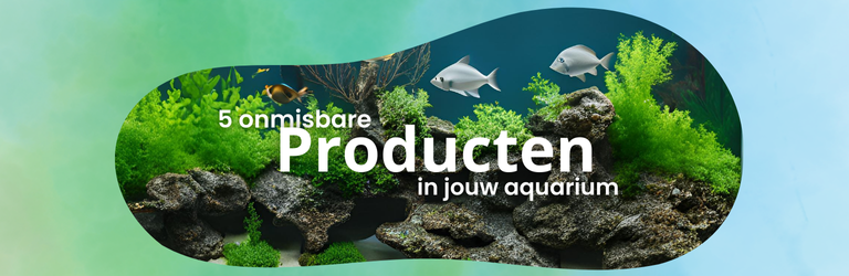 5 onmisbare producten in je aquarium
