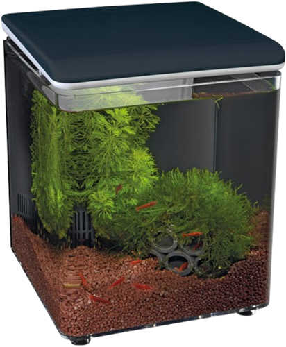 Superfish Home 8 zwart