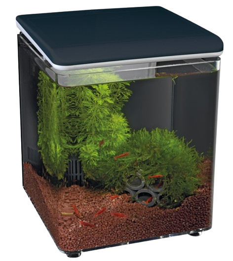 Superfish Home 8 zwart