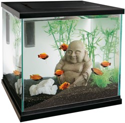 Aquariums