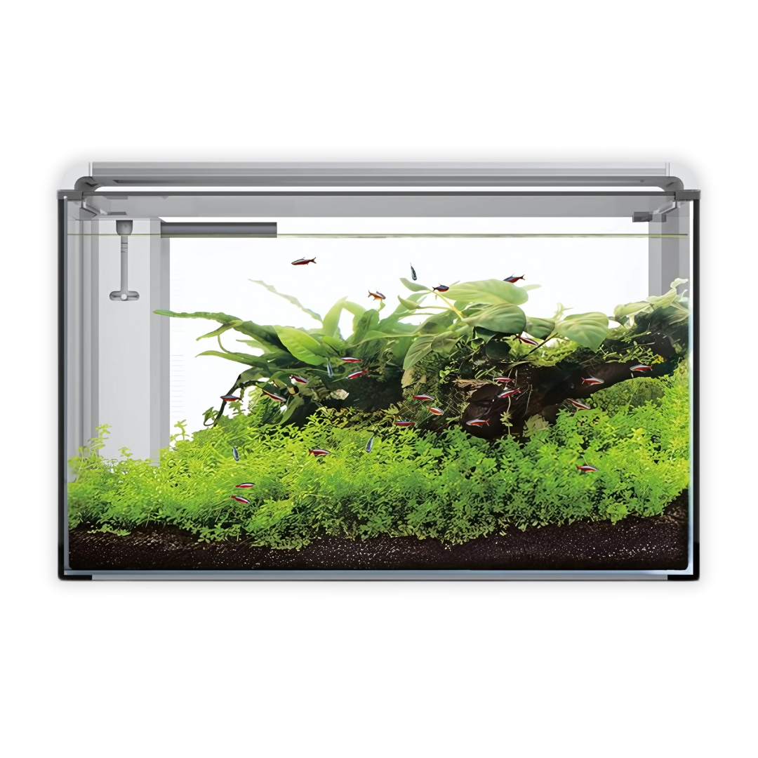 2025 - AP - Voorpag - Homecat 03 - Aquariums