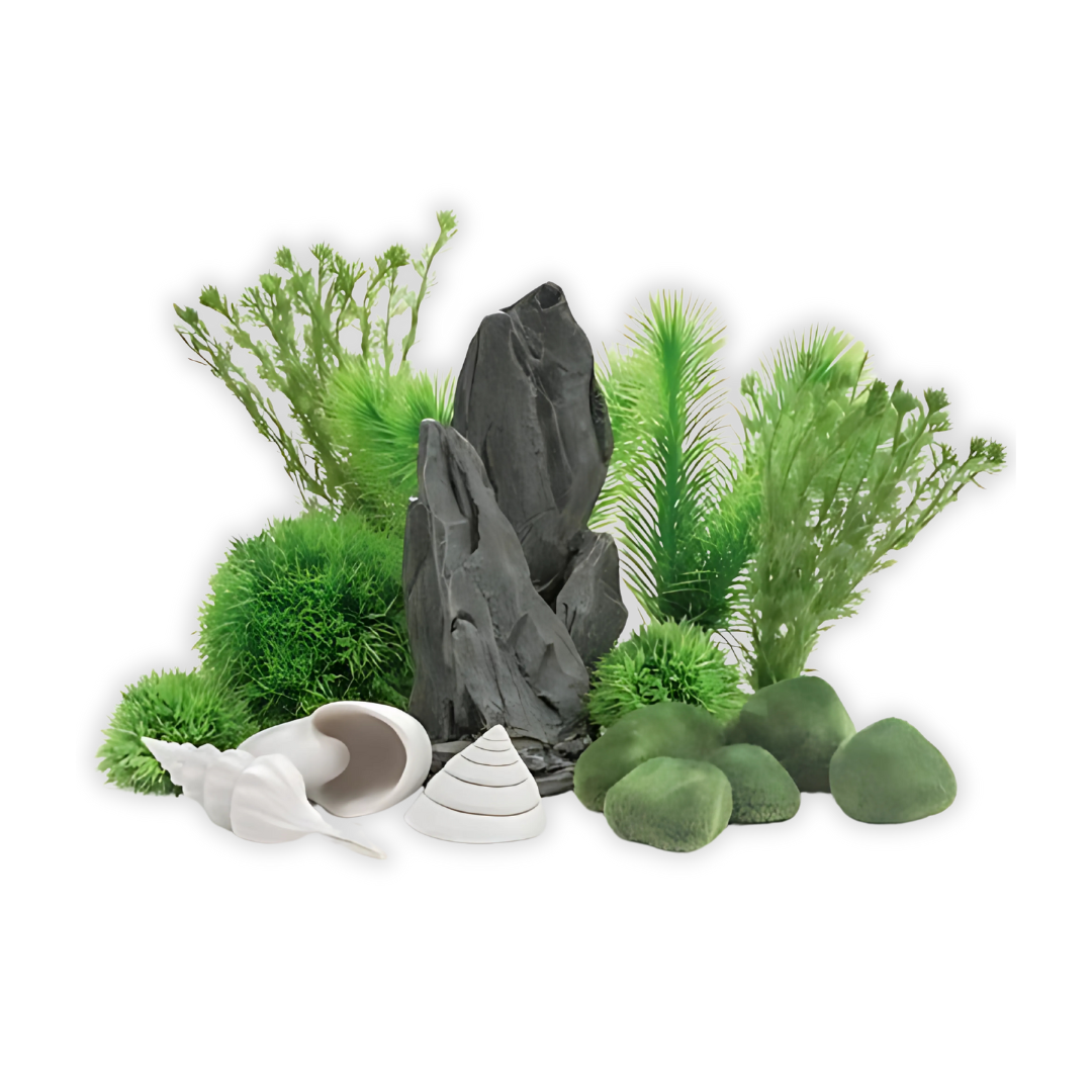 2025 - AP - Voorpag - Homecat 04 - Decoraties
