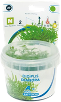 AquaVitaal Easy Grow Didiplis Diandra-2