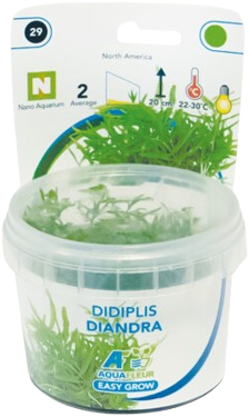 AquaVitaal Easy Grow Didiplis Diandra-2