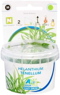 AquaVitaal Easy Grow Helanthium Tenellum-2