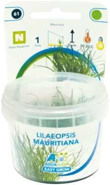 AquaVitaal Easy Grow Lilaeopsis Mauritiana-2