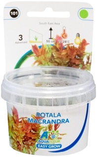 AquaVitaal Easy Grow Rotala Macrandia-2