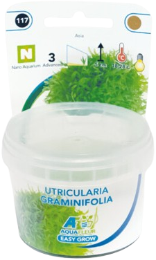 AquaVitaal Easy Grow Utricul. Graminifolia-2