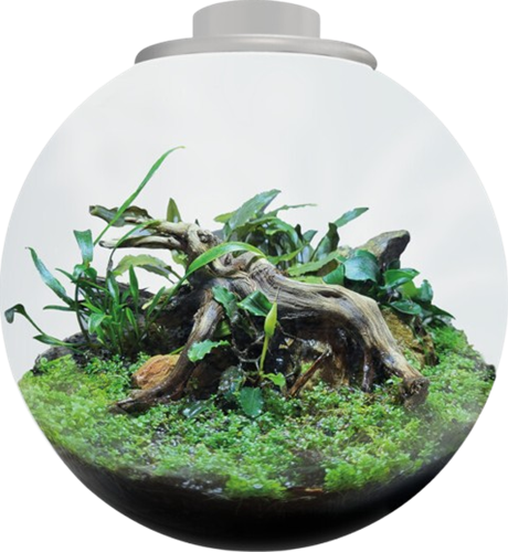 BioArt Bowl 225 wit