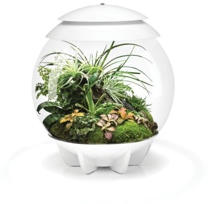 BiOrb Air 30 wit