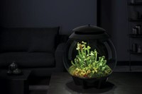 BiOrb Air 30 zwart-2