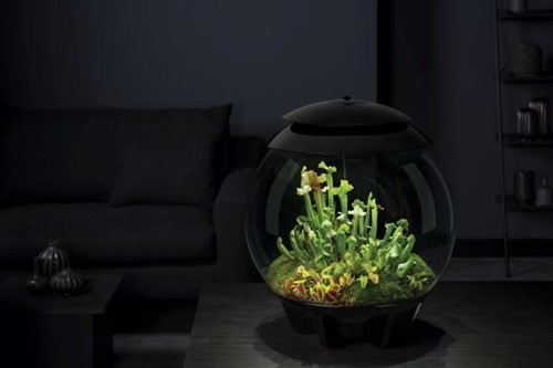BiOrb Air 30 zwart-2