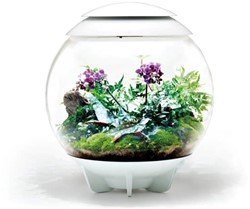 BiOrb Air 60 wit