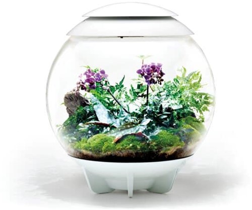 BiOrb Air 60 wit
