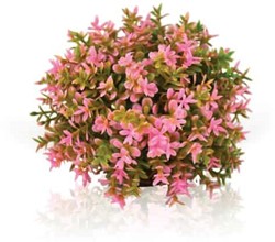 BiOrb Bloemenbal roze