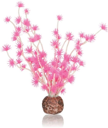 BiOrb Bonsai roze