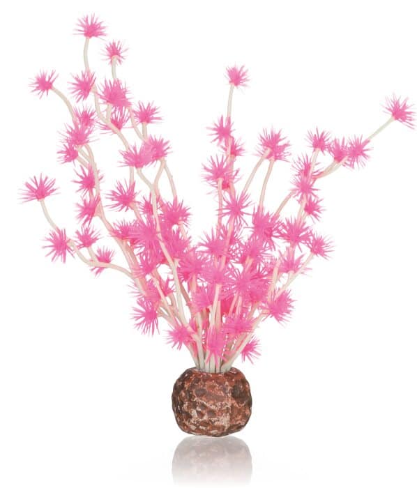 BiOrb Bonsai roze
