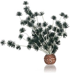 BiOrb Bonsai zwart