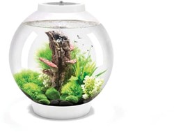 BiOrb Classic 30 MCR wit