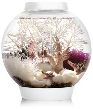 BiOrb Classic 30 LED wit
