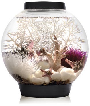 BiOrb Classic 60 LED zwart