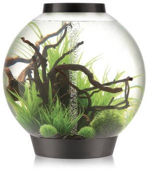 BiOrb Classic 30 MCR zwart