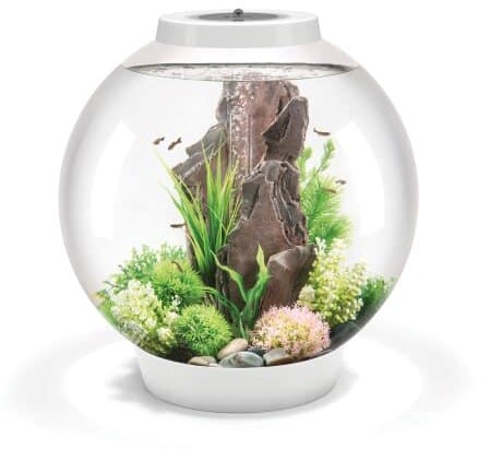 BiOrb Classic 60 led wit