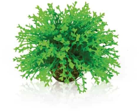 BiOrb Decobal bloem groen