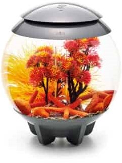 biOrb Decor Set 15L Herfst-3