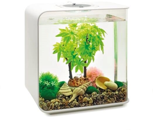 Biorb decorations hot sale