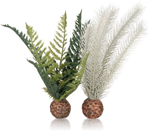 biOrb distelvaren grijs/groen S