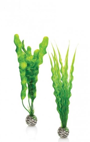 BiOrb plantenset medium - groen