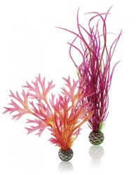 Biorb N-Plantenset M rood en roze