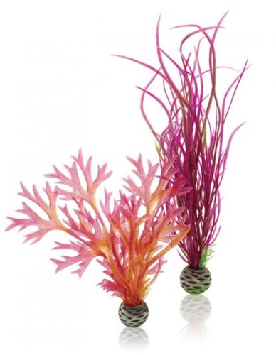 Biorb N-Plantenset M rood en roze