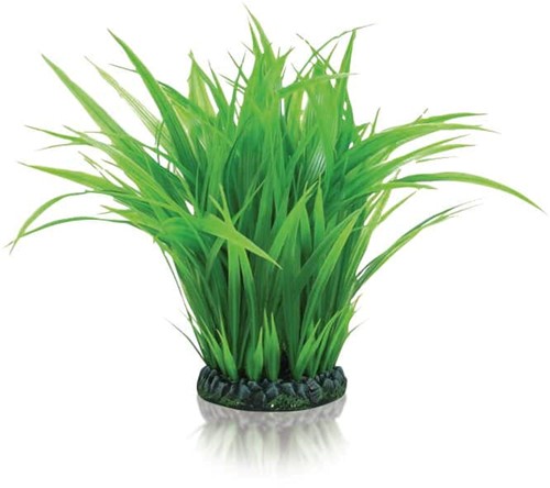 BiOrb Grasring L groen