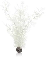 BiOrb Hoornkoraal L wit