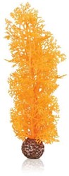 BiOrb Hoornkoraal M oranje