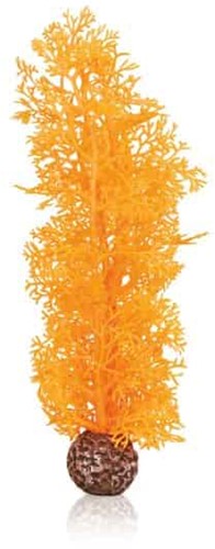 BiOrb Hoornkoraal M oranje