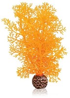 BiOrb Hoornkoraal S oranje