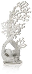 BiOrb Ventilatorkoraal ornament wit