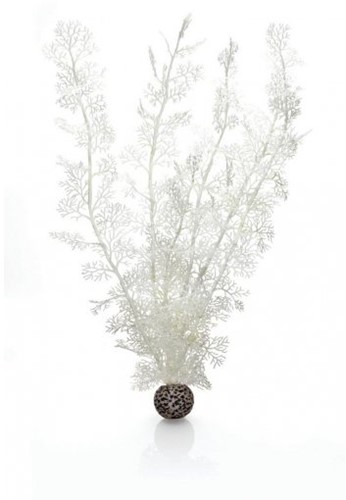 BiOrb Hoornkoraal extra groot - wit