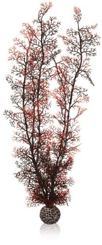 BiOrb Hoornkoraal XL donkerrood