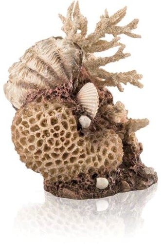 BiOrb koraal & schelpen ornament  