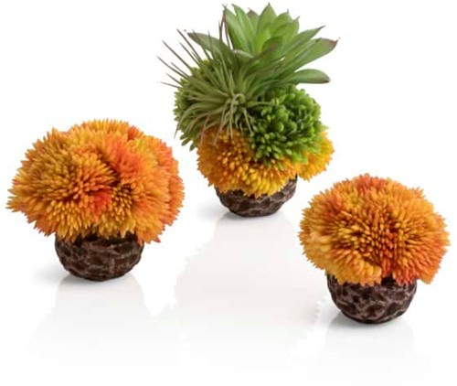 BiOrb koraalballenset oranje