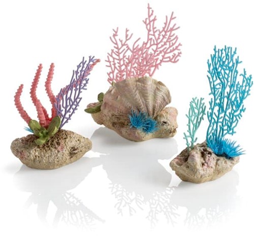 BiOrb koraalventilatoren en schelpen set