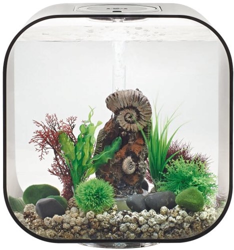 BiOrb LIFE 30 MCR zwart-2