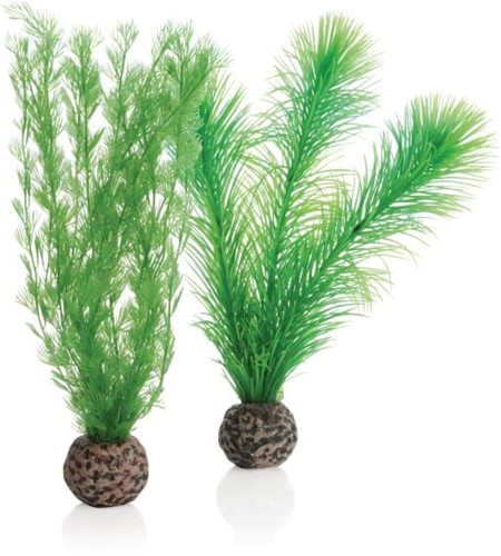 BiOrb Mannetjesvaren set S groen